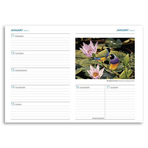 A single open weekly planner spread on a white background. The left page shows Monday through Friday with lined daily sections and blue weekday labels.