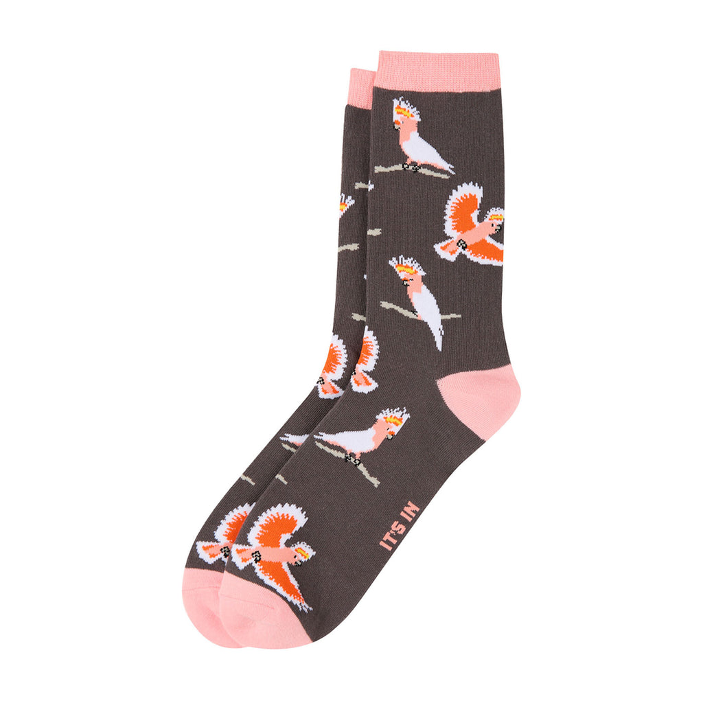 The Animal Observatory stripe kids sock