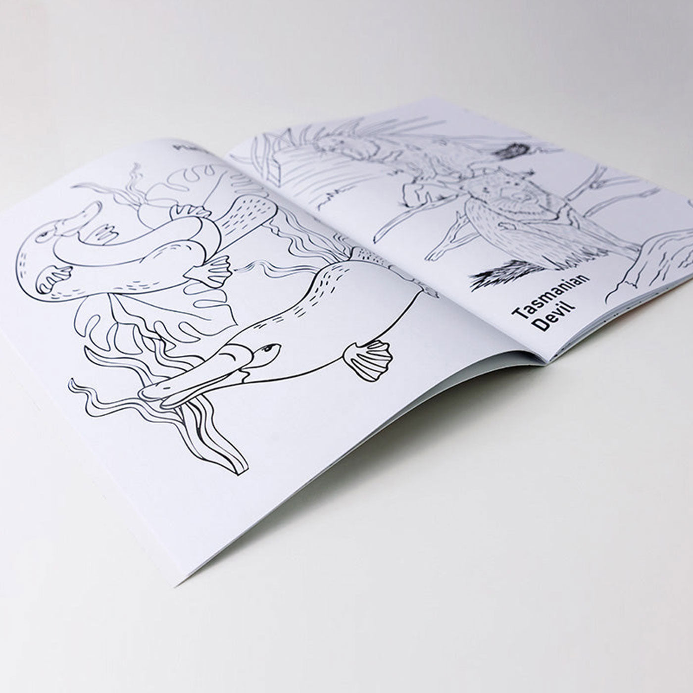 Australian Animals Colouring Book — Australian Geographic