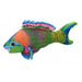 Coral Reef Parrot Fish