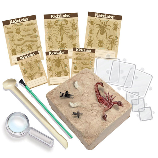 Educational kit for children with sand, tools, and insect models on a white background