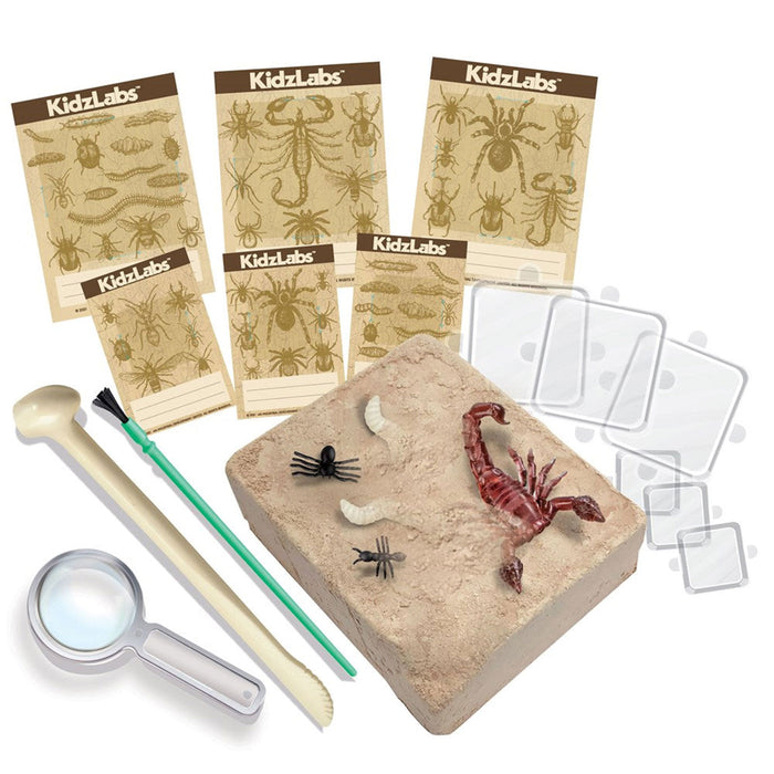 Educational kit for children with sand, tools, and insect models on a white background