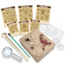 Educational kit for children with sand, tools, and insect models on a white background