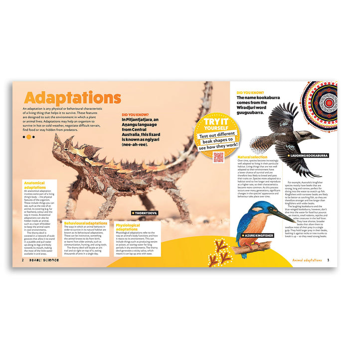 Educational page about adaptations with illustrations of a lizard, kingfisher, and bird of prey.
