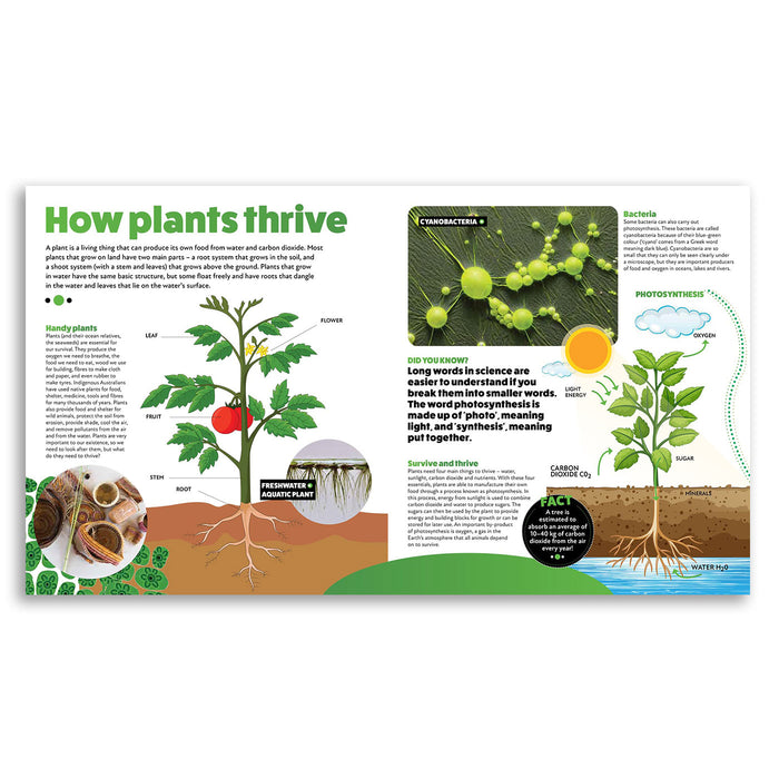Educational illustration about how plants thrive with diagrams and text.
