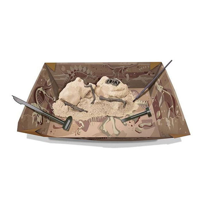 Dinosaur skeleton model with tools on a display stand against a white background