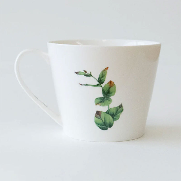 Marini Ferlazzo Mug & Coaster – Echidna Bushwalk