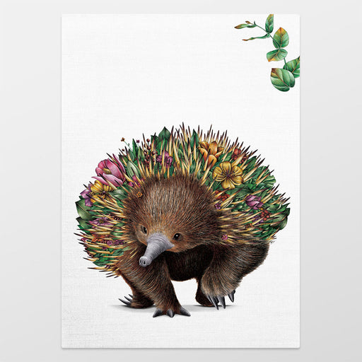 Illustration of an echidna with a floral and succulent pattern on a white background
