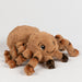 Plush spider toy on a white background