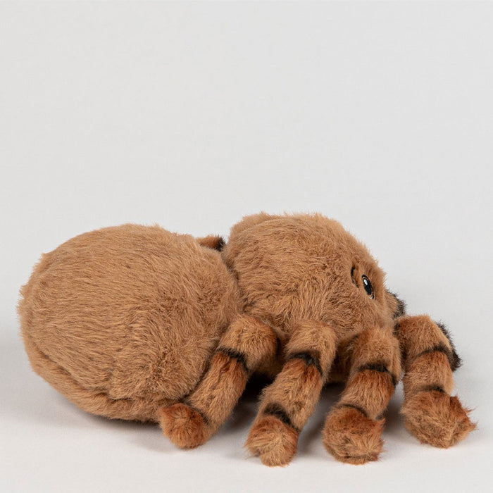 Plush spider toy on a white background