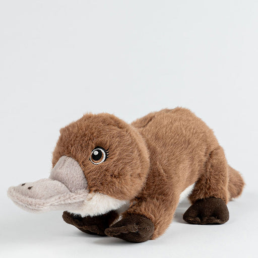 Plush toy platypus on a white background