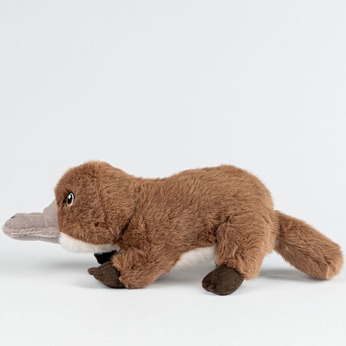 Plush toy platypus on a white background