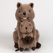 Two brown plush quokkas stacked on a white background