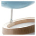 Close-up of a globe with wooden finish on a white background