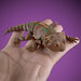 Toy bearded dragon held in a hand against a purple background