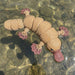 Toy platypus with pink feet floating in clear water