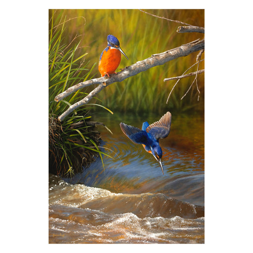 Two colorful birds on a branch over a flowing stream with greenery.