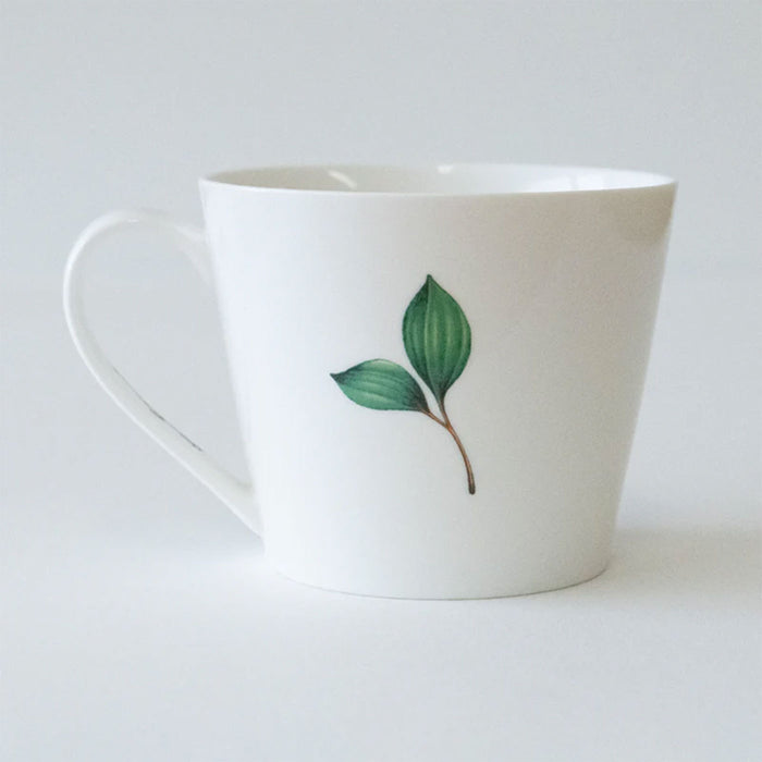 Marini Ferlazzo Mug & Coaster – Galah Bushwalk