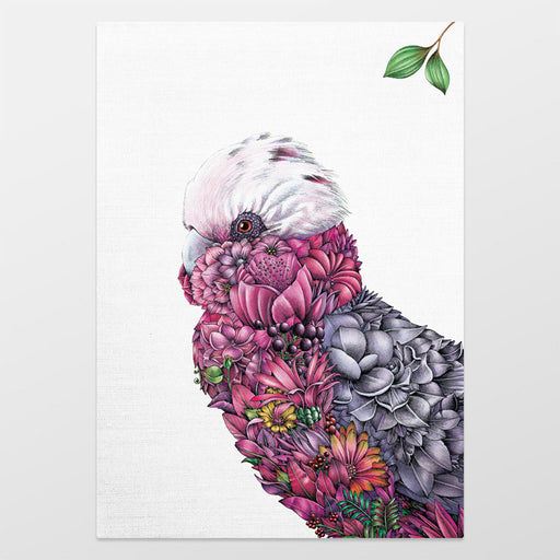 Colorful galah illustration with floral patterns on a white background
