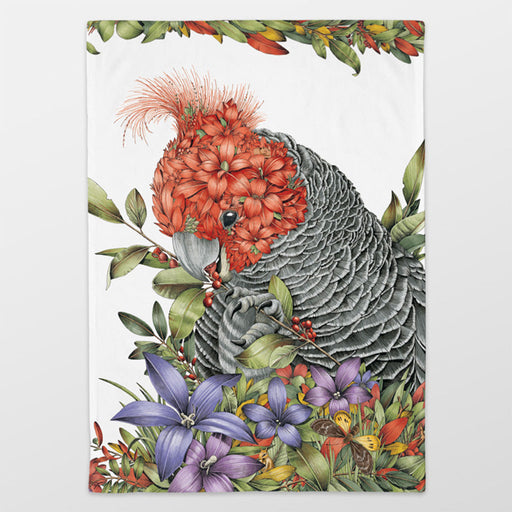 Illustration of a gang gang with red head and gray body surrounded by flowers and leaves on a white background