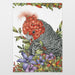 Illustration of a gang gang with red head and gray body surrounded by flowers and leaves on a white background
