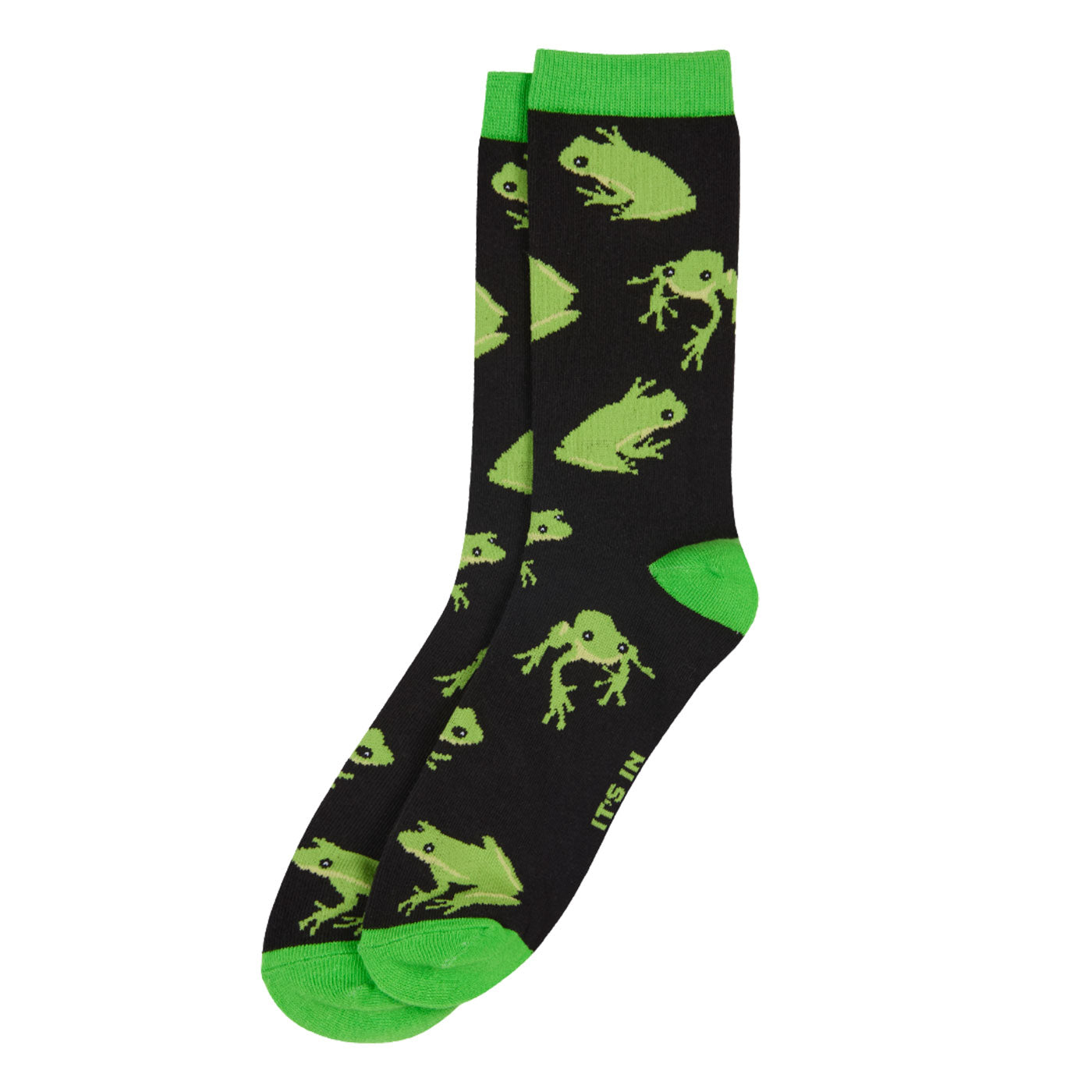 Fantastic Frogs Gift Bundle — Australian Geographic