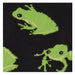 Green Frog pattern
