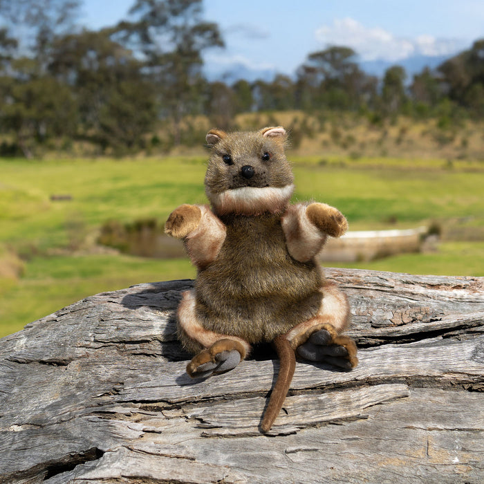Stuffed toy quokka on a log with a natural landscape background