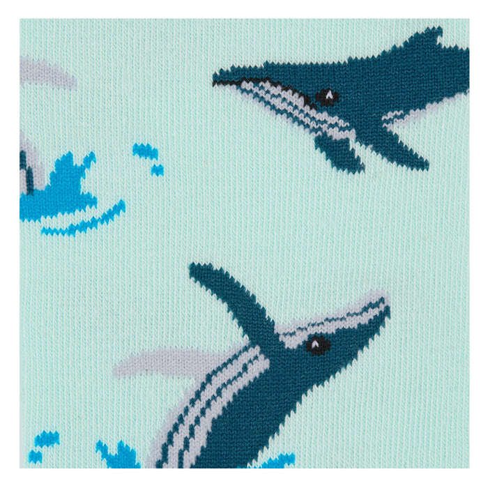 Humpback Whale pattern