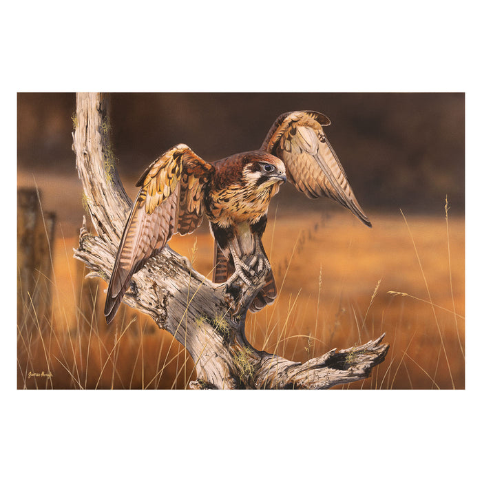 Australian Geographic 1000 Piece Jigsaw: Out Hunting