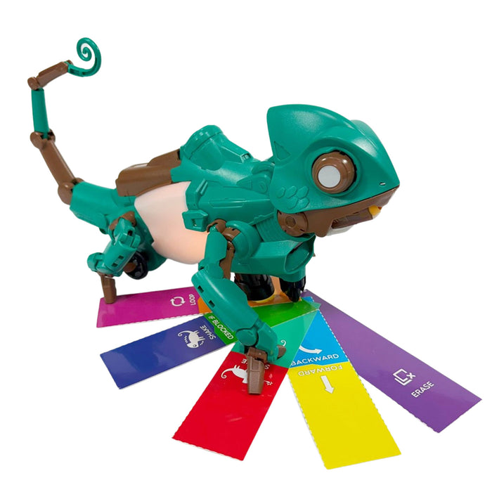 Toy figure of a chameleon with colorful labels on a white background