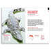 A printed informational page about the saltwater crocodile, with a large photo of the animal on the left, red and black title text reading 'SALTWATER CROCODILE,' descriptive text, and small distribution graphics including a map of Australia and population estimates.