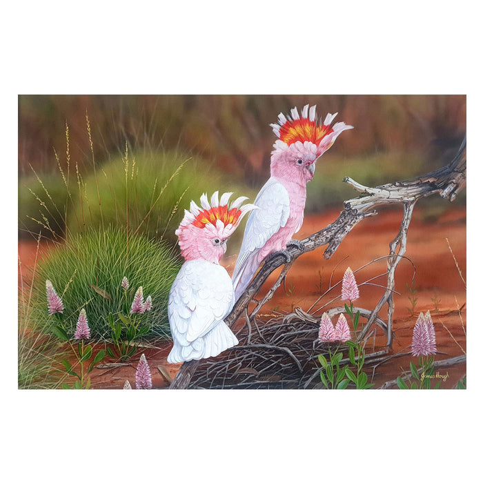Two colorful cockatoos on a branch with a natural background