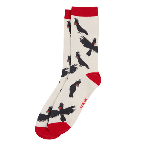 Palm Cockatoo socks