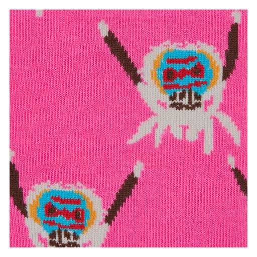 Peacock Spider pattern