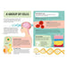 Educational poster about cells, DNA, and body functions with illustrations and text.