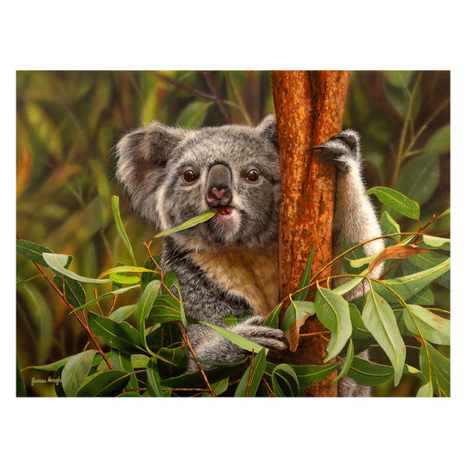 Coastal wildlife painting of a koala and chick in a eucalyptus tree