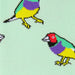 Close-up of knit socks featuring colorful bird motifs on a pale mint green background.