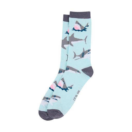 Shark-themed socks on a light blue background