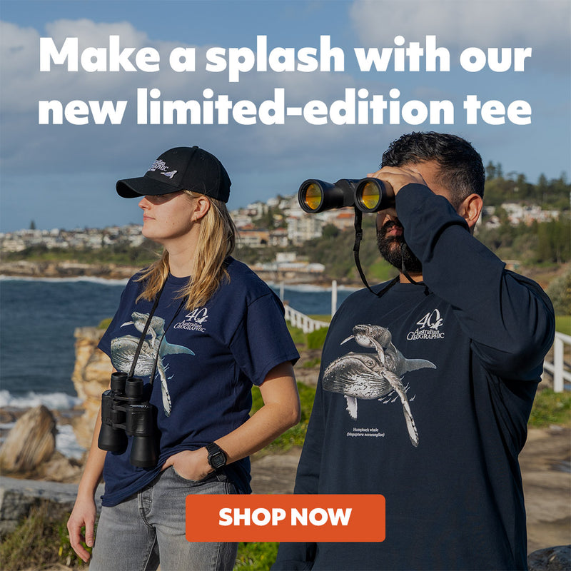 Two people outdoors by the water wearing matching navy graphic tees with a whale print. One person wears a black cap and holds binoculars, and the other wears a long-sleeve navy shirt.