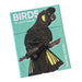 A deck of playing cards titled 'BIRDS OF AUSTRALIA' featuring an illustration of a black cockatoo with a yellow cheek patch and yellow tail feathers on a turquoise card background.