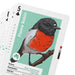 A close-up of a playing card featuring an illustrated Flame Robin bird on a mint green background, with card details including the rank 5, club symbol, and status information visible.