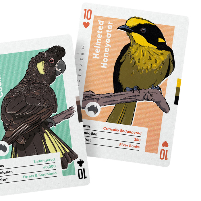 Two illustrated bird-themed cards overlapping on a white background. One card shows a dark brown cockatoo on a mint green panel, and the other shows a yellow and olive honeyeater on an orange panel.