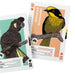 Two illustrated bird-themed cards overlapping on a white background. One card shows a dark brown cockatoo on a mint green panel, and the other shows a yellow and olive honeyeater on an orange panel.