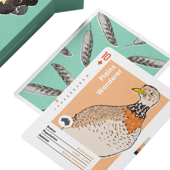 A close-up of a printed card featuring an illustrated bird labeled 'Plains Wanderer' with conservation text, layered over a teal cardstock background with feather illustrations. Part of a green box is visible at the top left.