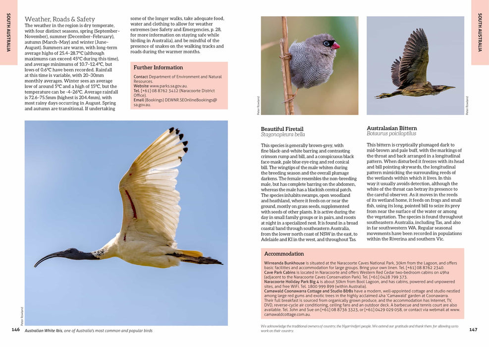 Australian Geographic Australias Birdwatching Megaspots book