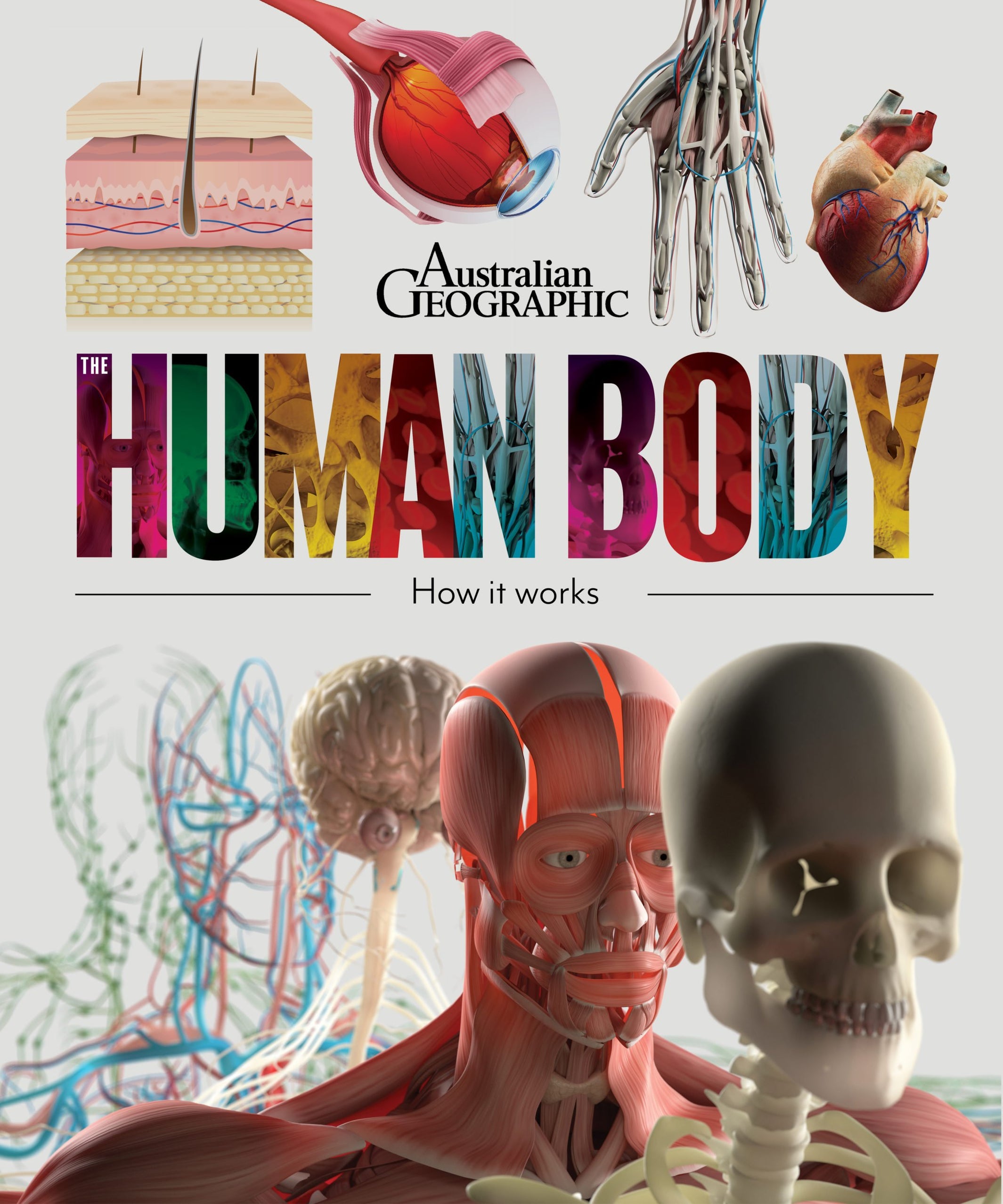 The Human Body — Australian Geographic