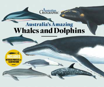 Australias Amazing Whales and Dolphins