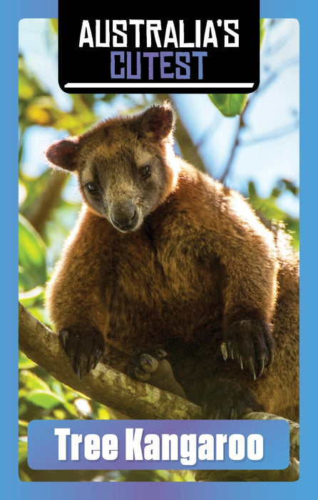 australias most cutest animals card game