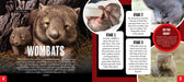Australian Geographic Discover Life Cycle book
